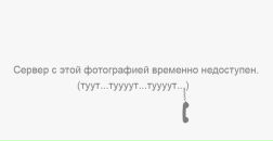 Оксана Стефанів фотография #48 (источник - https://vk.com/id111979136)