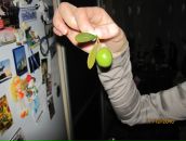 Фотография Унтевской Марины