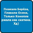 Назар Полуліх фотография #25 (источник - https://vk.com/id78134845)