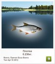 Макс Капітула фотография #43 (источник - https://vk.com/id134394023)