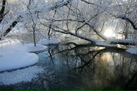 Фотография Евсютина Александра