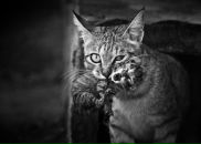 Фотография Жидковой Натальи