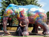 Фотография Николаевой Ульянки