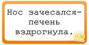 Лера ♥ фотография #21 (источник - https://vk.com/id135037976)