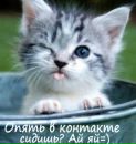 Іванна Бац фотография #35 (источник - https://vk.com/id166824426)
