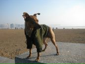 Фотография Бараули Иришки