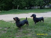 Фотография Келя Константина