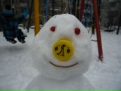 Фотография Ермаковой Эльвиры