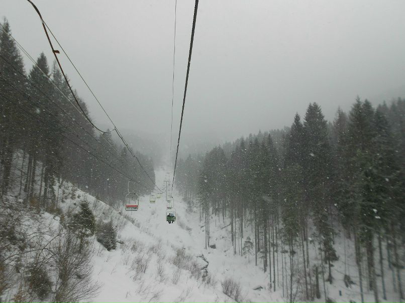 Saeed Radwan фотография #17