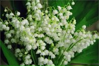 Фотография Radetskaya Elena