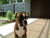 Фотография Прочухана Владимира