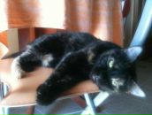 Фотография Гиль Виктории