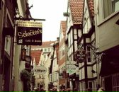 Фотография Комаровой Ольги