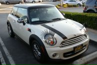 Фотография Романовой Анны