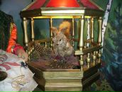 Фотография Новоселовой Наталии