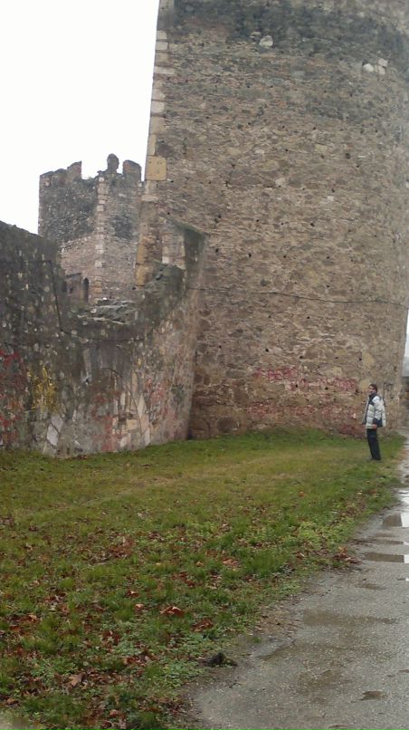 Предраг Лукич фотография #10