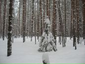 Фотография Игнатьевой Танюшечки