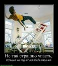 Ирина Олексеенко фотография #39 (источник - https://vk.com/id21115650)