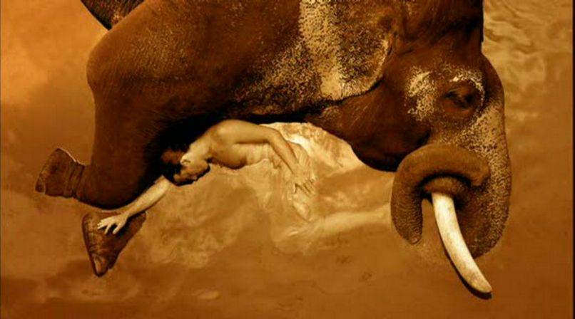 Федор Ситник фотография #12