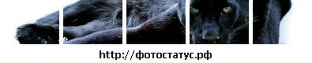 Сергій Гладій фотография #6 (источник - https://vk.com/id20045024)