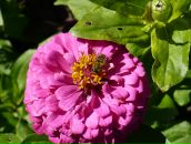 Фотография Рябковой Светланы