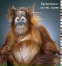 Тімур Сокунов фотография #36 (источник - https://vk.com/id45307241)