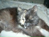 Фотография Демидова Андрея