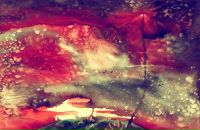 Діма Бондарчук фотография #18 (источник - https://vk.com/id57452723)