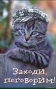 Світлана Блашко фотография #39 (источник - https://vk.com/id50099462)