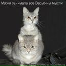 Світлана Блашко фотография #40 (источник - https://vk.com/id50099462)