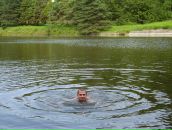 Андрій Чепурний фотография #8 (источник - https://vk.com/id13464442)