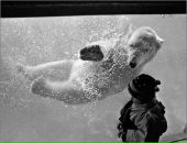 Фотография Ратникова Максима