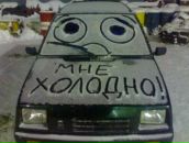 Фотография Корневой Марии