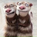 Фотография Smerdova Олечки