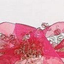 Олічка Терлич фотография #18 (источник - https://vk.com/id23929127)