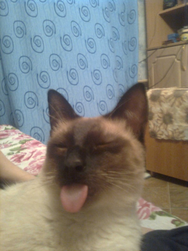 Игорь Сальников фотография #22