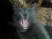 Фотография Агеева Евгения