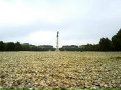 Irina Denis фотография #41 (источник - https://vk.com/id417694)