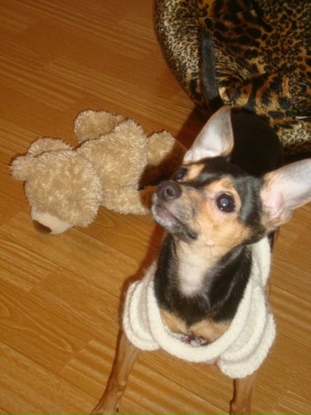 №6, Илария Нечаева, 12.11 №6, Илария Нечаева, 12.11