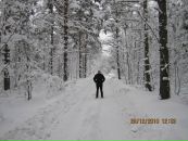 Фотография Романова Алексея