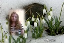 Іра Мельник фотография #15 (источник - https://vk.com/id124947195)