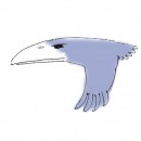 Фотография Богданова Лариса