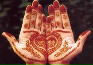 Фотография Мамедовой Екатерины