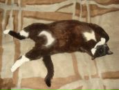 Фотография Рахимовой Анны