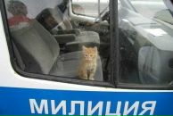 Світлана Глазок фотография #11 (источник - https://vk.com/id43430859)