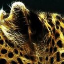 Ігор Шутурма фотография #16 (источник - https://vk.com/id122805674)