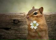 Фотография Степановой Анны