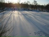 Павло Балтаєв фотография #49 (источник - https://vk.com/id5781749)