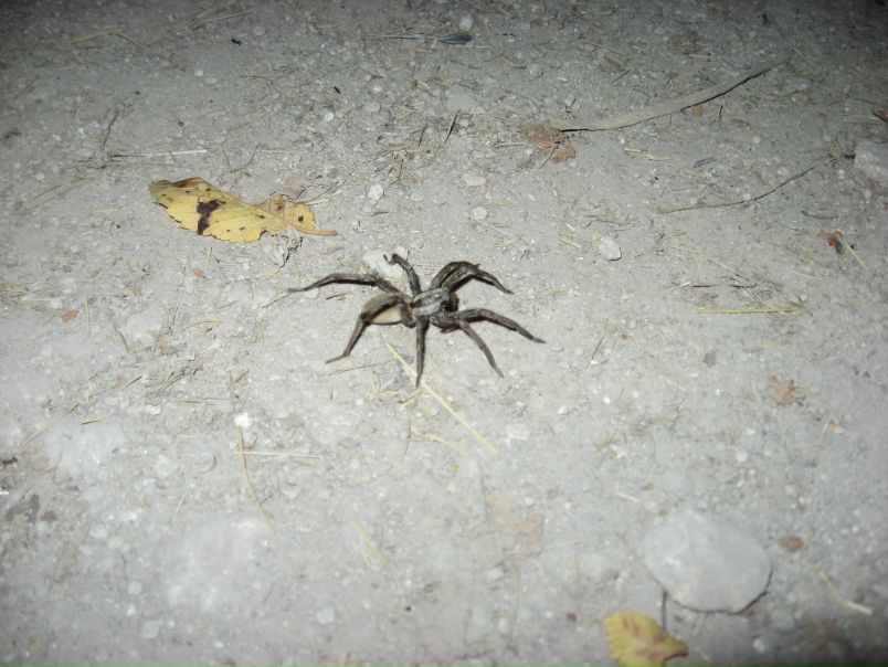 Дмитрий Вальковец фото №35