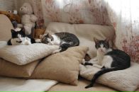 Фотография Мака Максима